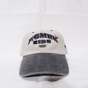 COLLEGE LOGO CAP
