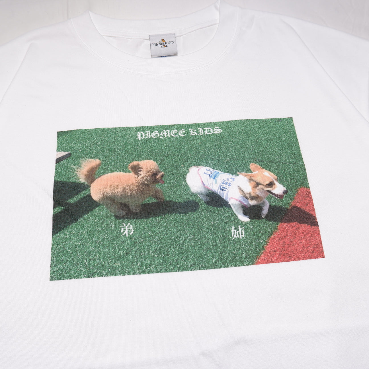 G&I brother photo TEE