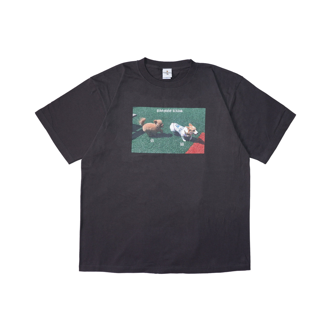 G&I brother photo TEE