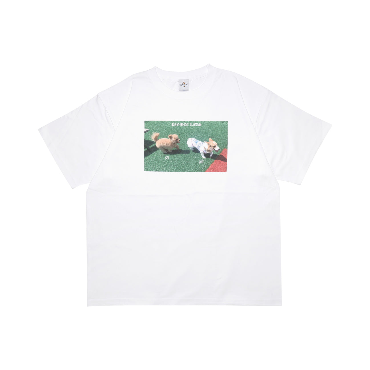 G&I brother photo TEE